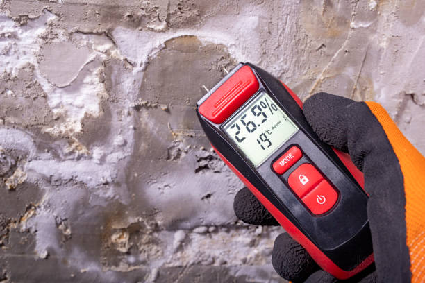 Best Local Mold Removal Service  in National Park, NJ