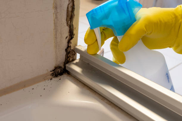 Best Residential Mold Removal  in National Park, NJ