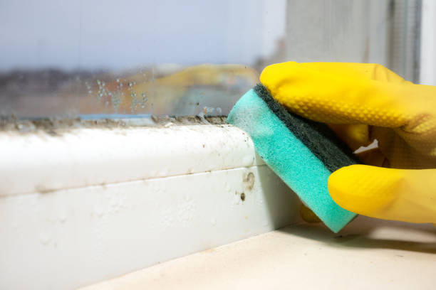 Best Emergency Mold Removal  in National Park, NJ